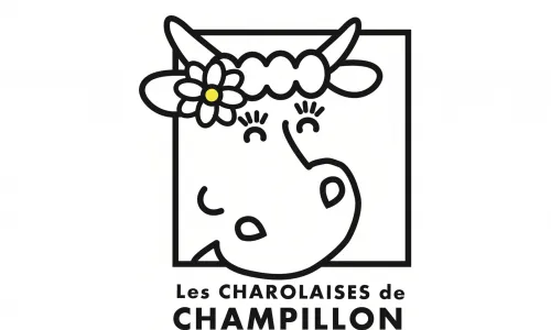 Image qui illustre: Les Charollaises De Champillon à Escorpain - 1