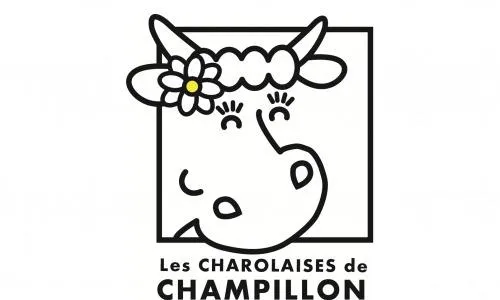 Image qui illustre: Les Charollaises De Champillon