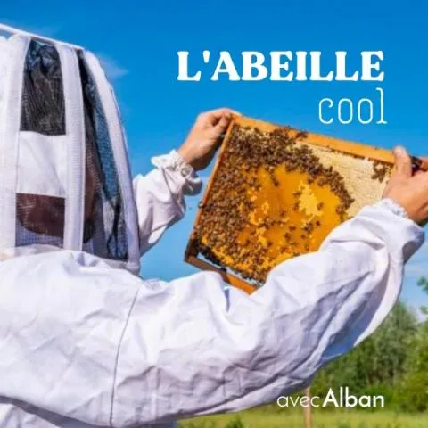 Image qui illustre: Initiez-vous à l'apiculture