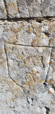 Image qui illustre: Visite guidée : identifier les anciens graffitis de plusieurs centaines d'années