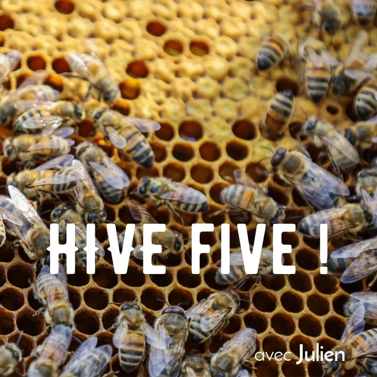 Image qui illustre: Initiez-vous à l'apiculture à Gometz-la-Ville - 0