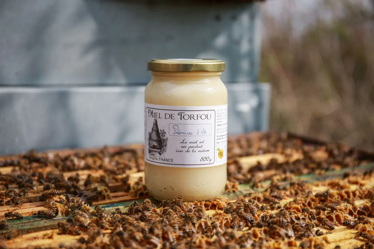 Image qui illustre: Initiez-vous à l'apiculture à Gometz-la-Ville - 2