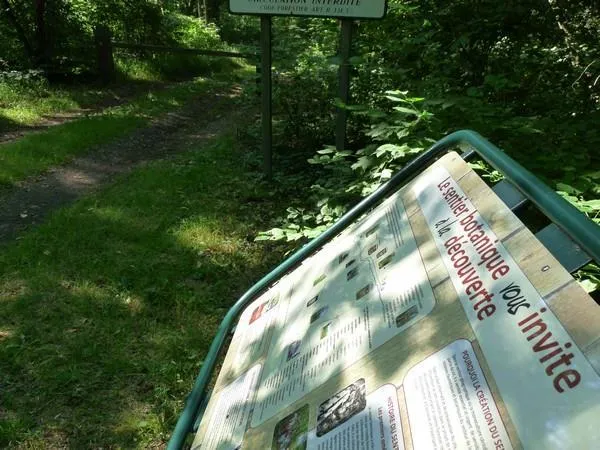 Image qui illustre: Sentier Botanique : Forêts Riediennes