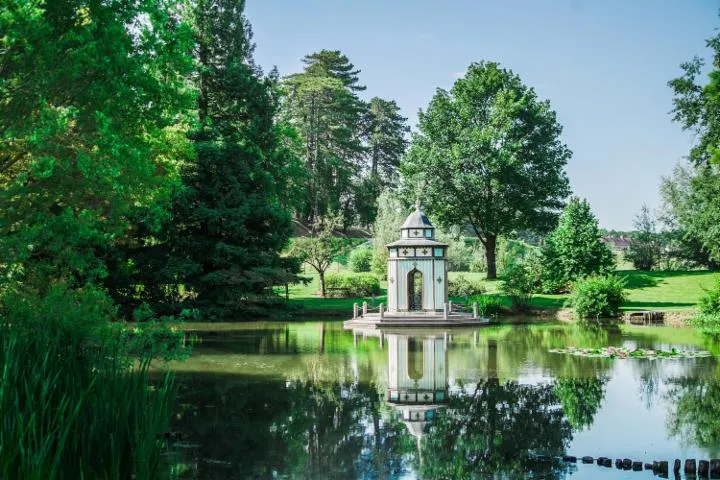 Image qui illustre: Parc Floral D'apremont-sur-allier