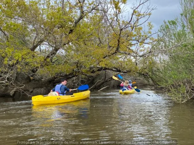 Image qui illustre: Petits kayaks, prêt pour l'aventure