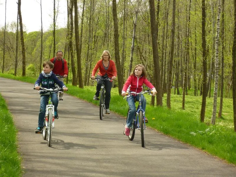 Image qui illustre: Voie Verte Le Chemin Des Abbayes à Moyenmoutier - 1