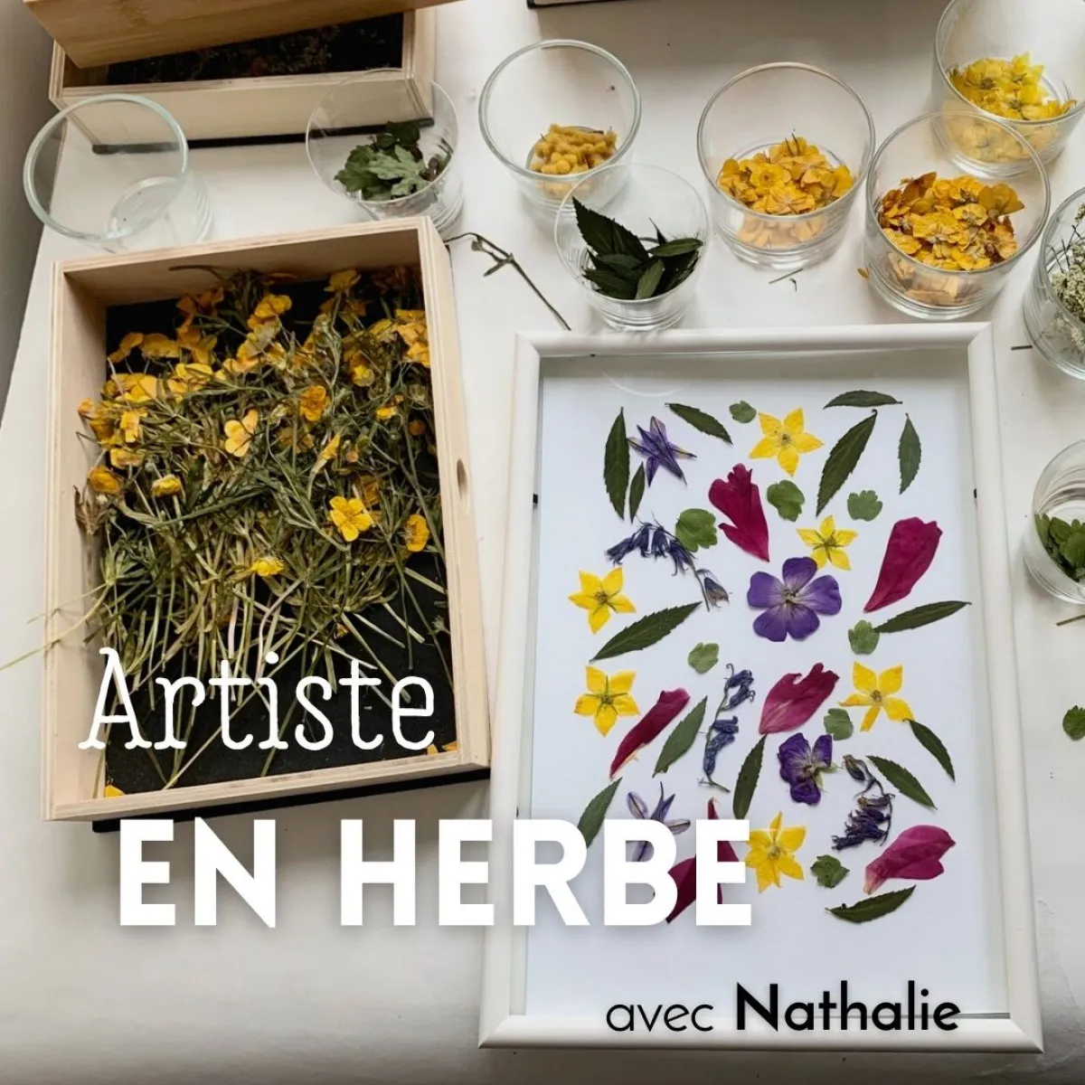 Image qui illustre: Créez votre herbier en fleurs séchées à Paris - 0