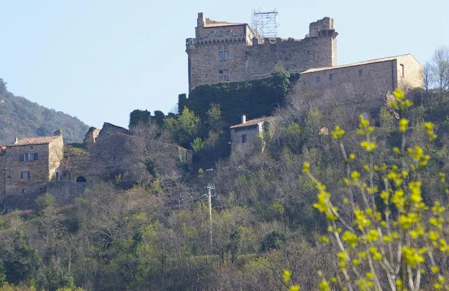 Image qui illustre: Chateau De Dio à Dio-et-Valquières - 2