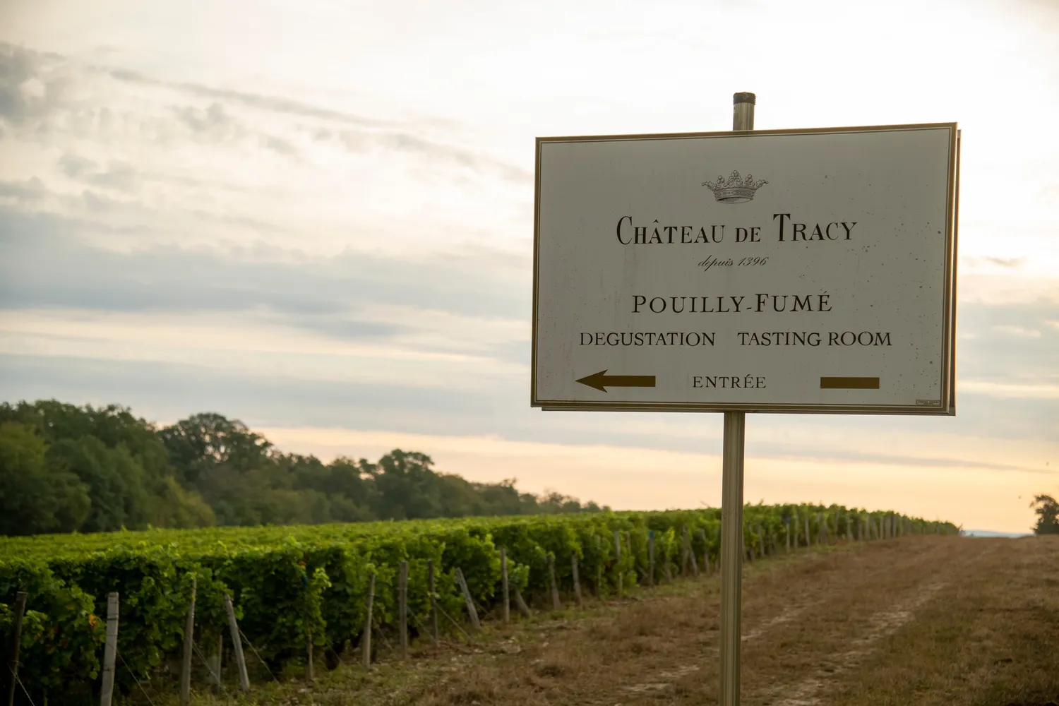 Image qui illustre: Château De Tracy à Tracy-sur-Loire - 0
