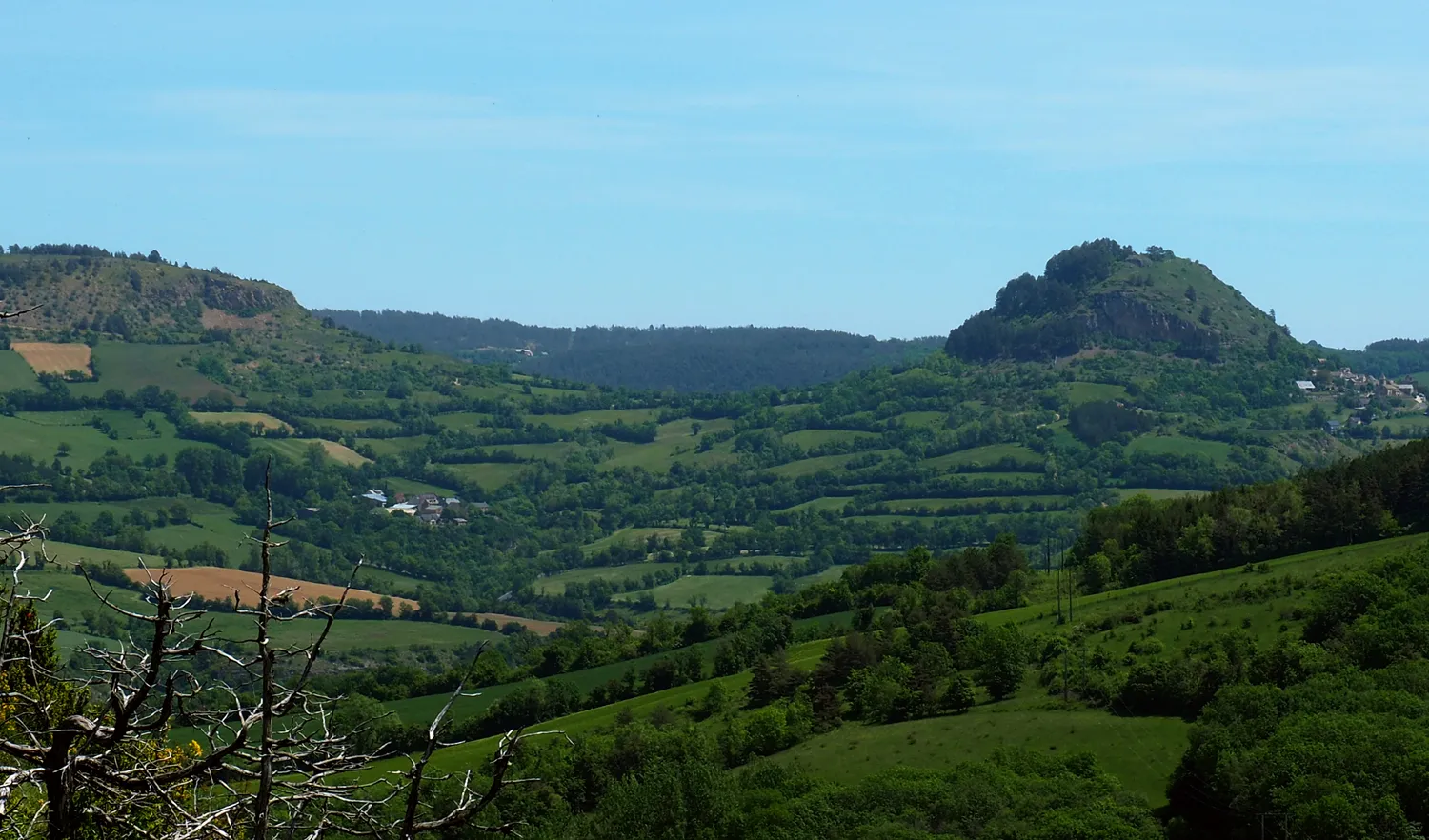 Image qui illustre: Site Natura 2000 Du Causse Des Blanquets à Grèzes - 0