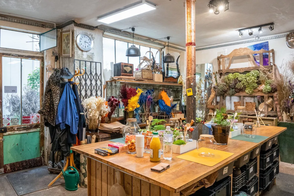 Image qui illustre: Composez votre terrarium en famille à Paris - 2