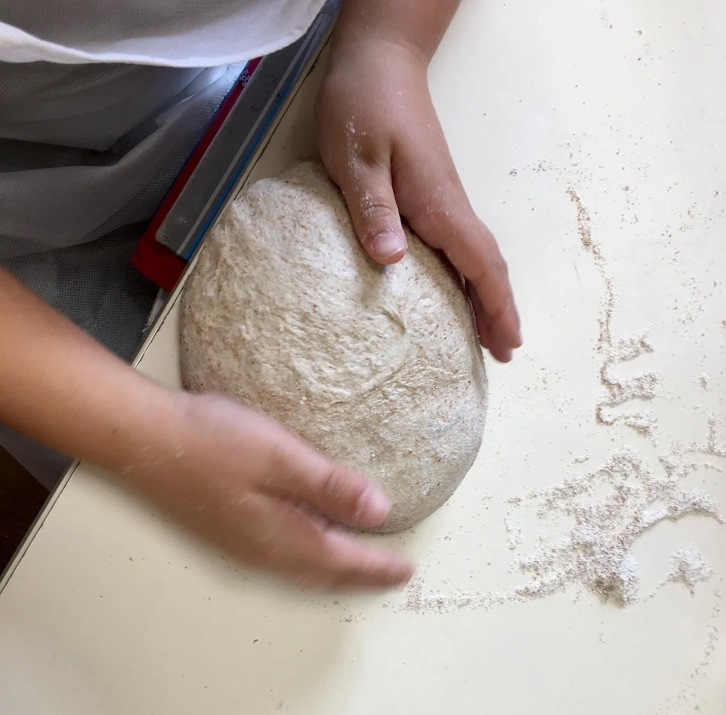 Image qui illustre: Stage d'initiation Du grain au pain au Musée du Paysan Gascon à Toujouse - 0