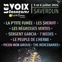 Image qui illustre: Les Voix Sonneuses Sud de France