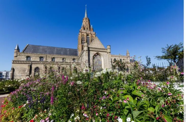 Image qui illustre: église Notre Dame et les jardins tudor