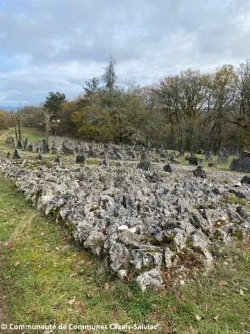 Image qui illustre: Chemin De Boissièrette