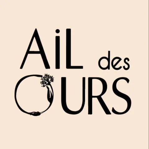 Image qui illustre: Ail des Ours