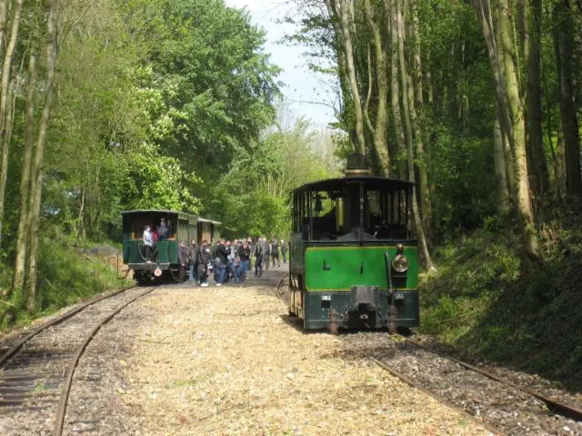 Image qui illustre: Train À Vapeur