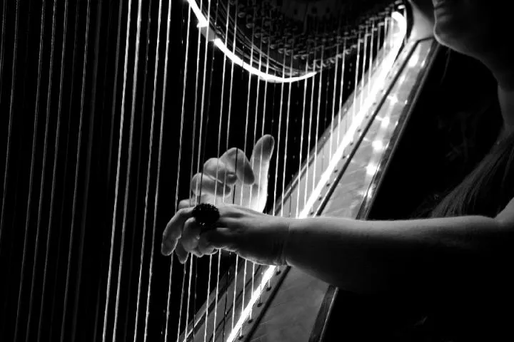 Image qui illustre: Récital De Harpe
