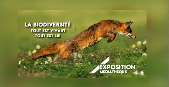 Image qui illustre: Exposition « La Biodiversité : Tout Est Vivant, Tout Est Lié »