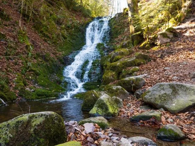 Image qui illustre: Cascade Du Cuisinier