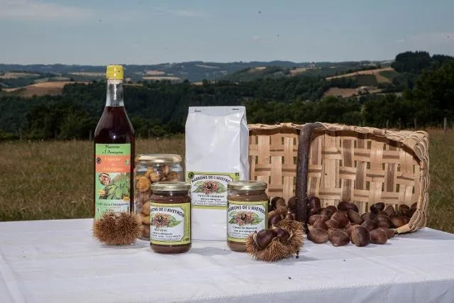 Image qui illustre: Marrons De L'aveyron - Goûtez La Châtaigne