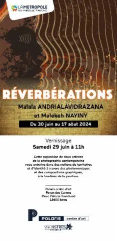 Image qui illustre: Exposition Réverbérations : Malala Andrialavidrazana Et Malekeh Nayiny