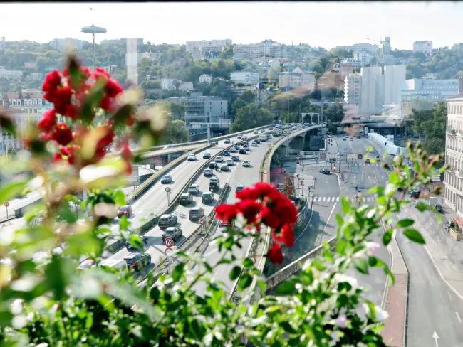 Image qui illustre: Les Jardins Suspendus de Perrache