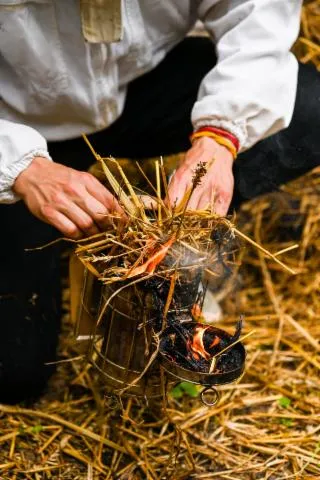 Image qui illustre: Initiez-vous à l'apiculture durable