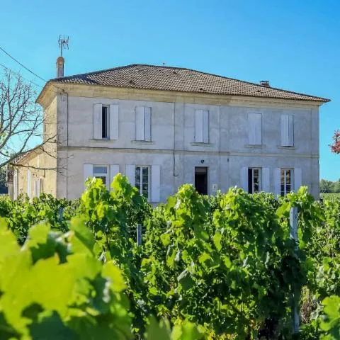 Image qui illustre: Château Pillebois