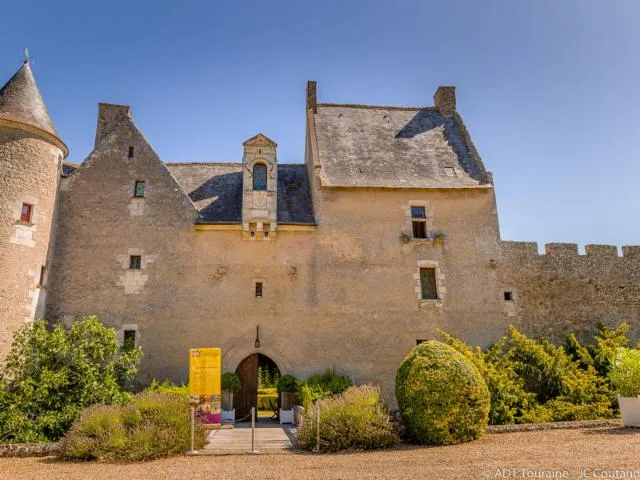 Image qui illustre: Château De Fontenay