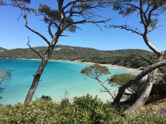 Image qui illustre: La plage de Notre-Dame à Porquerolles