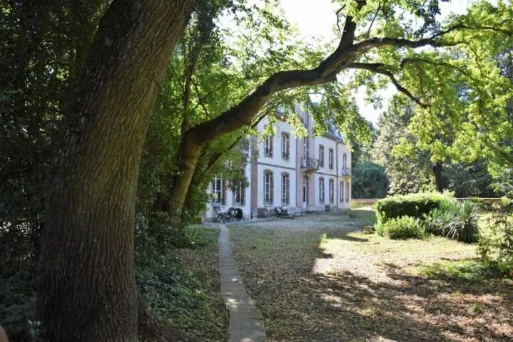 Image qui illustre: Château-parc De Plessis Saint-jean