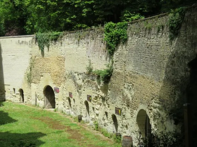 Image qui illustre: Sortie Arbrissel : château de Ternay et Jardin du Tilleul