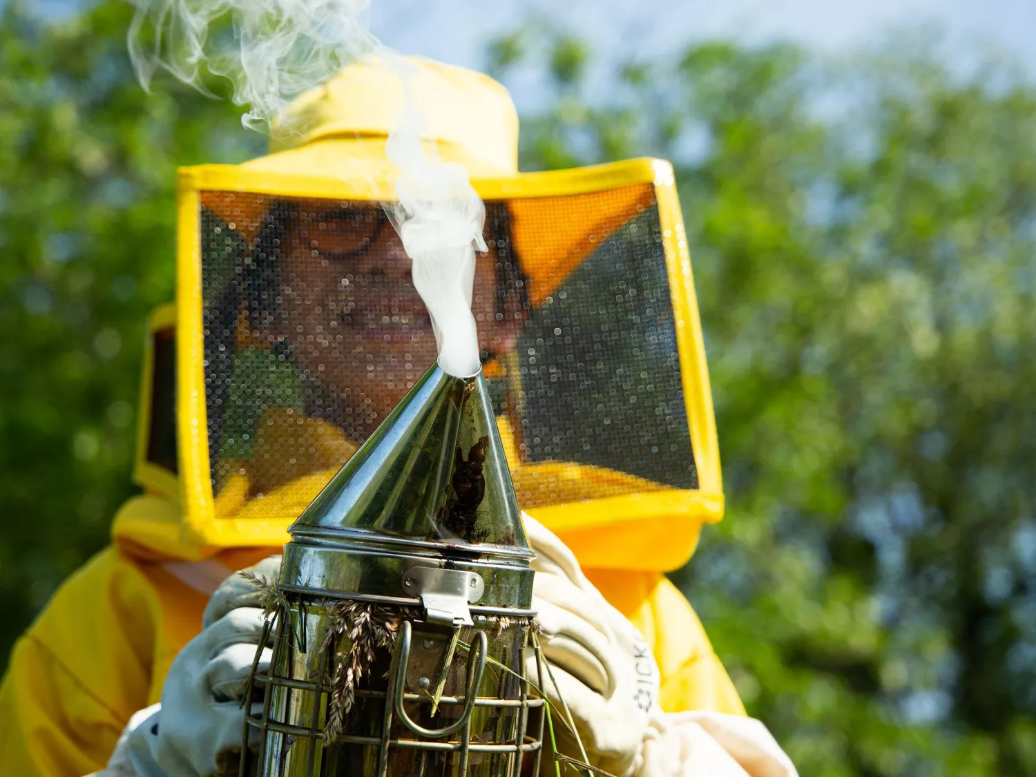 Image qui illustre: Découvrez l'apiculture et visitez des ruchers à Jassans-Riottier - 1