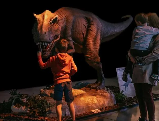 Image qui illustre: Exposition Dinosaures & Préhistoire