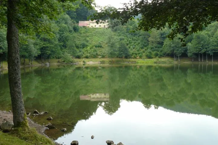 Image qui illustre: Lac Du Lachtelweiher