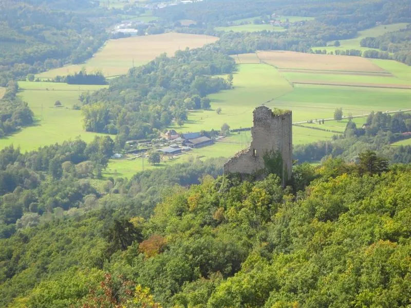 Image qui illustre: Château du Ramstein à Scherwiller - 0