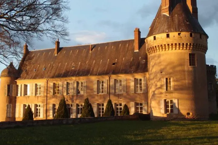 Image qui illustre: Château des Bordes