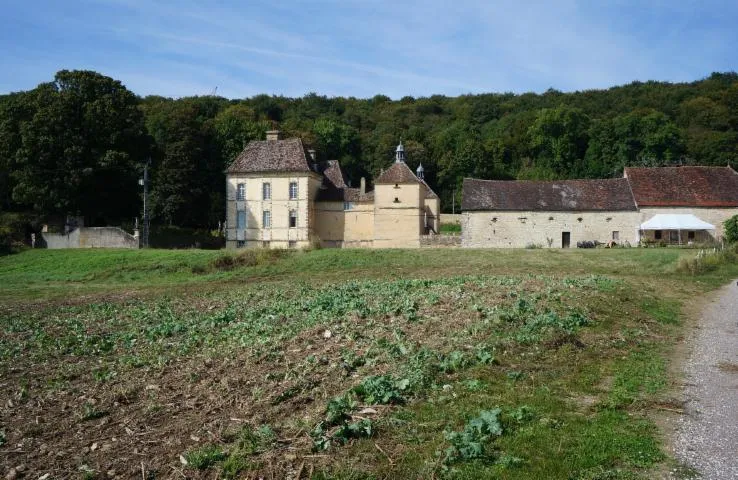 Image qui illustre: Château d'Entre-Deux-Monts