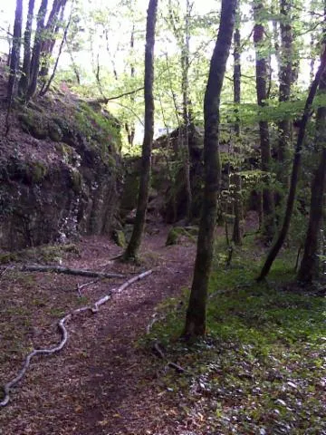 Image qui illustre: Boucle Camps par Le Rocher du peintre