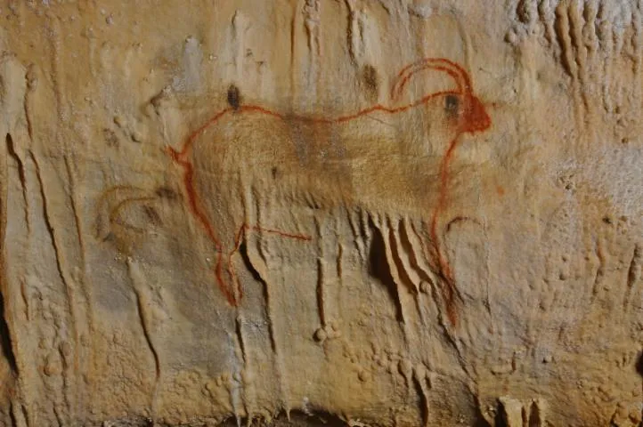 Image qui illustre: Remonter le temps avec la visite d'une grotte minérale ornée de dessins préhistoriques