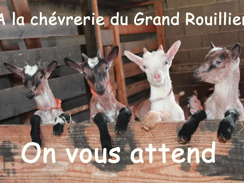Image qui illustre: Chèvrerie Du Grand Rouillier à La Forge - 0