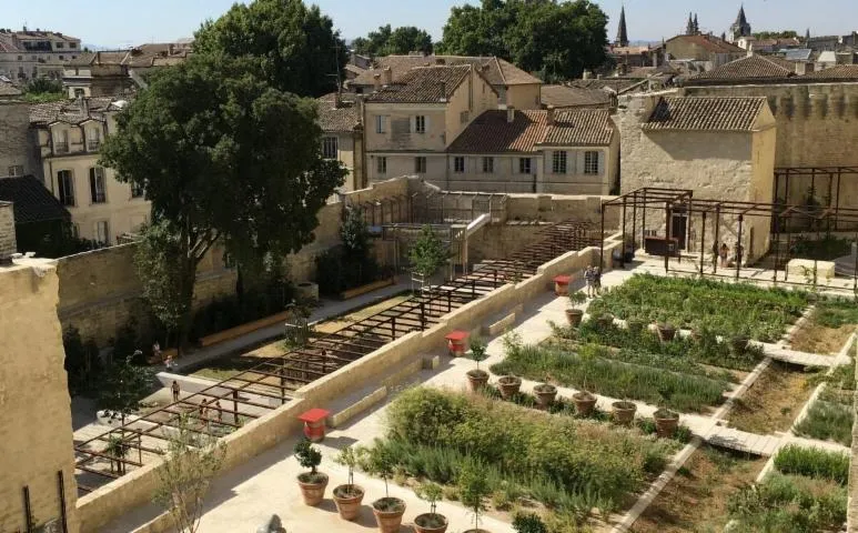Image qui illustre: Couleurs, parfums, sons... Quand les jardins parlent à vos sens - Promenade avec Avignon Tourisme