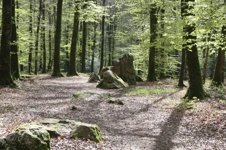 Image qui illustre: Randonnée guidée - Le circuit des vieux châteaux