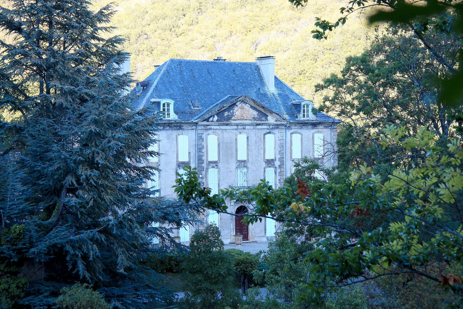 Image qui illustre: Chateau De Salgas à Vebron - 0