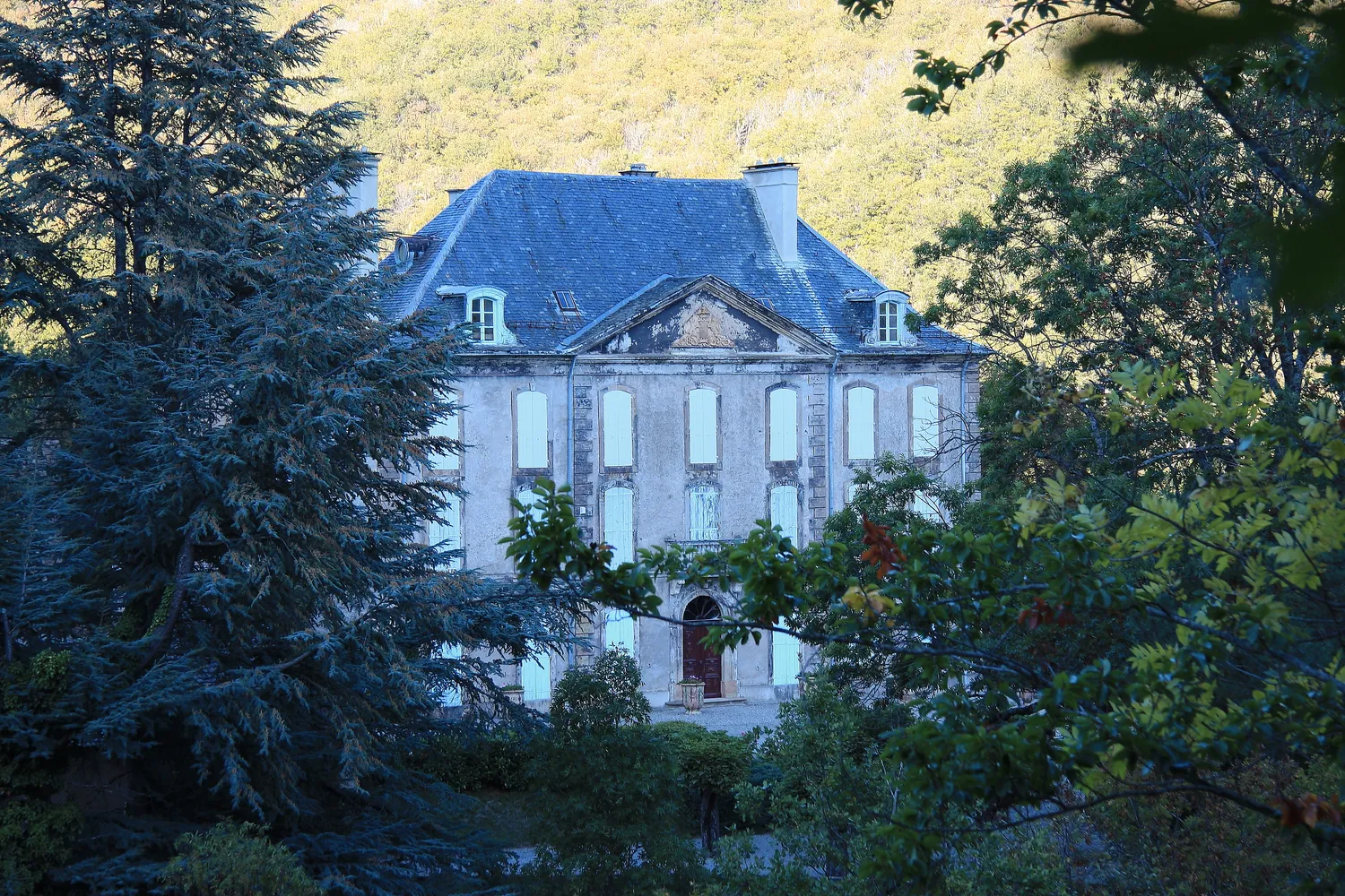 Image qui illustre: Chateau De Salgas à Vebron - 1