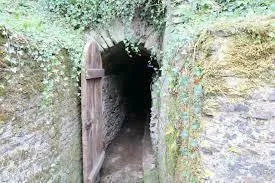 Image qui illustre: Levez les yeux ! Découverte insolite d'un souterrain médiéval à Cerisy-la-Forêt - 0