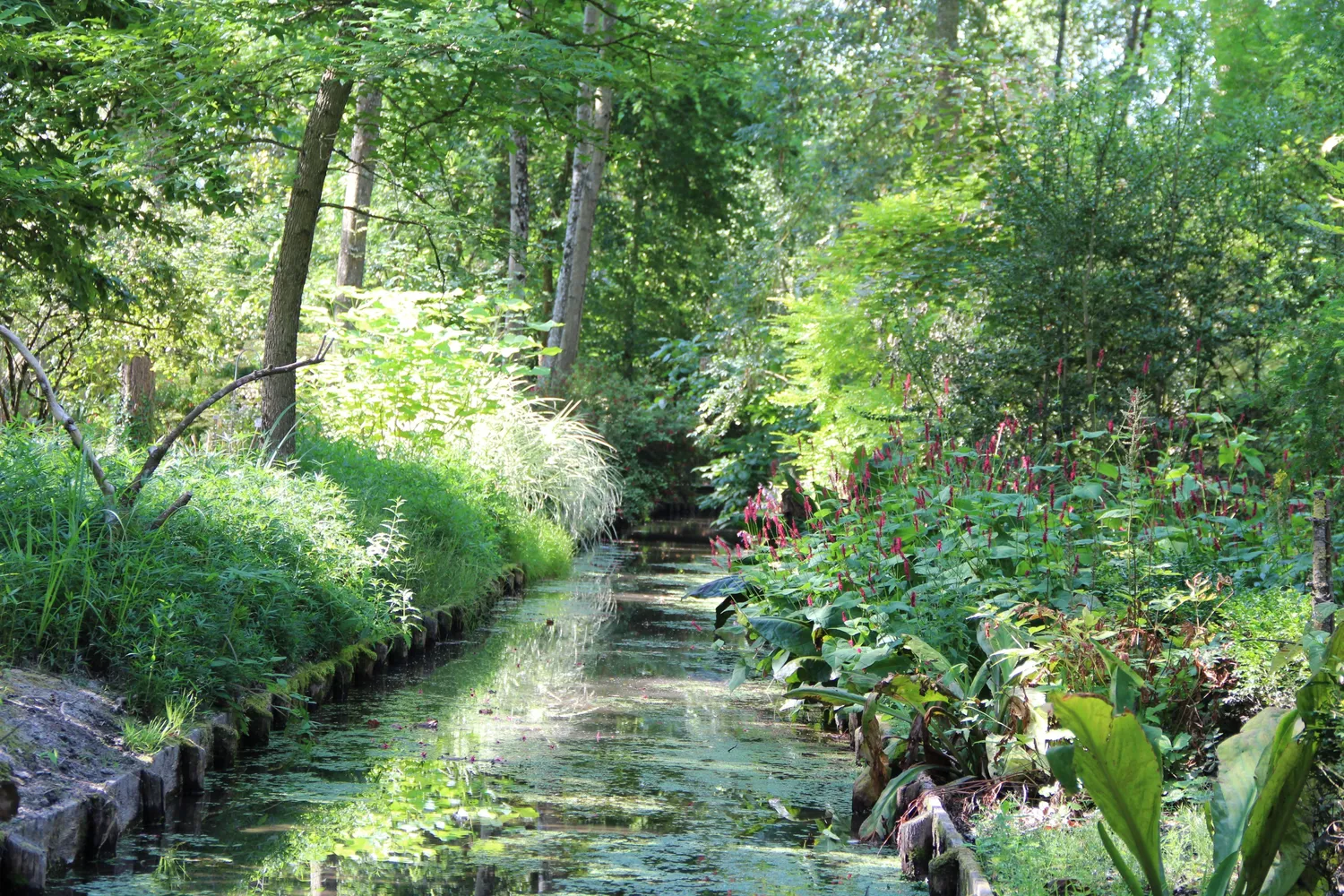 Image qui illustre: Visite libre du jardin à Meung-sur-Loire - 0