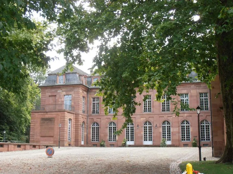 Image qui illustre: L'histoire Du Château De Dietrich à Reichshoffen - 1