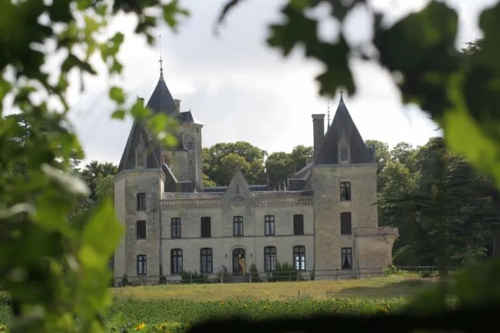 Image qui illustre: Journées Européennes du Patrimoine - Le Château de Ternay